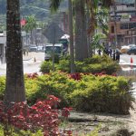 Intensos trabajos de limpieza continúan en Zamora tras desbordamiento de quebrada por fuertes lluvias (2)