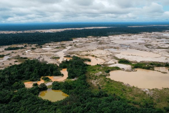 ¿Tesoro envenenado? Los efectos de la extracción ilegal de oro en la Amazonía peruana.