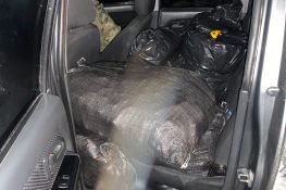 Operativo en Paquisha: Golpe Contundente al Material Explosivo Ilegal