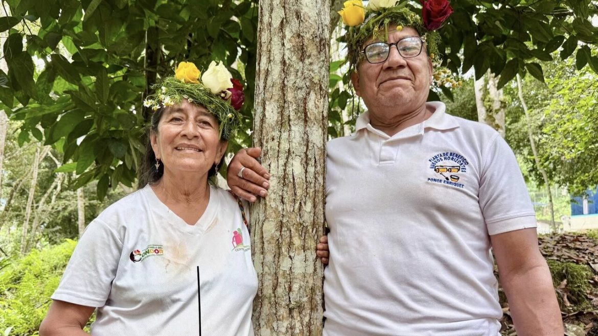 Terapia de bienestar para adultos mayores de Centinela del Cóndor en Zamora 4
