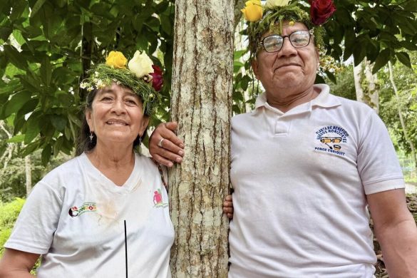 Terapia de bienestar para adultos mayores de Centinela del Cóndor en Zamora