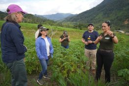PNUD y Lavazza: Un Futuro Sostenible para el Café y el Agua Potable en Ecuador, con Ojo en Zamora Chinchipe