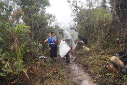  ¡UNL registra 705 especies vegetales en Zamora Chinchipe!