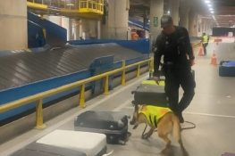 ¡Impactante! Cocaína líquida en prendas de vestir: Caen con más de 20.000 gramos de droga en el Aeropuerto de Quito