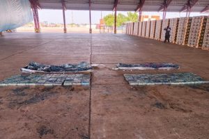 Policía halla droga oculta / Masharos News
