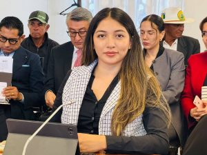 La asambleísta Jhanela Castillo, principalizada en representación del legislador Héctor… - Masharos News
